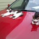 February 2017: Pixie and Dixie one of Dorsett’s vehicles. Image via Jesse Dorsett